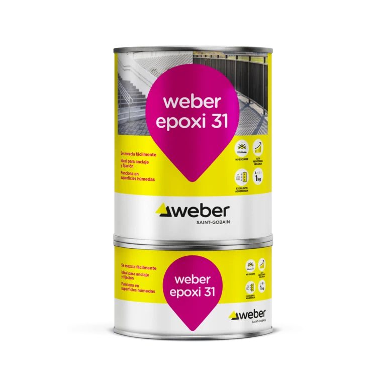 WEBER EPOXI 31